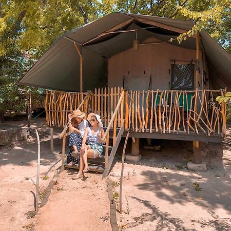 ホテル Camp Leopard - Yala Safari Glamping エクステリア 写真