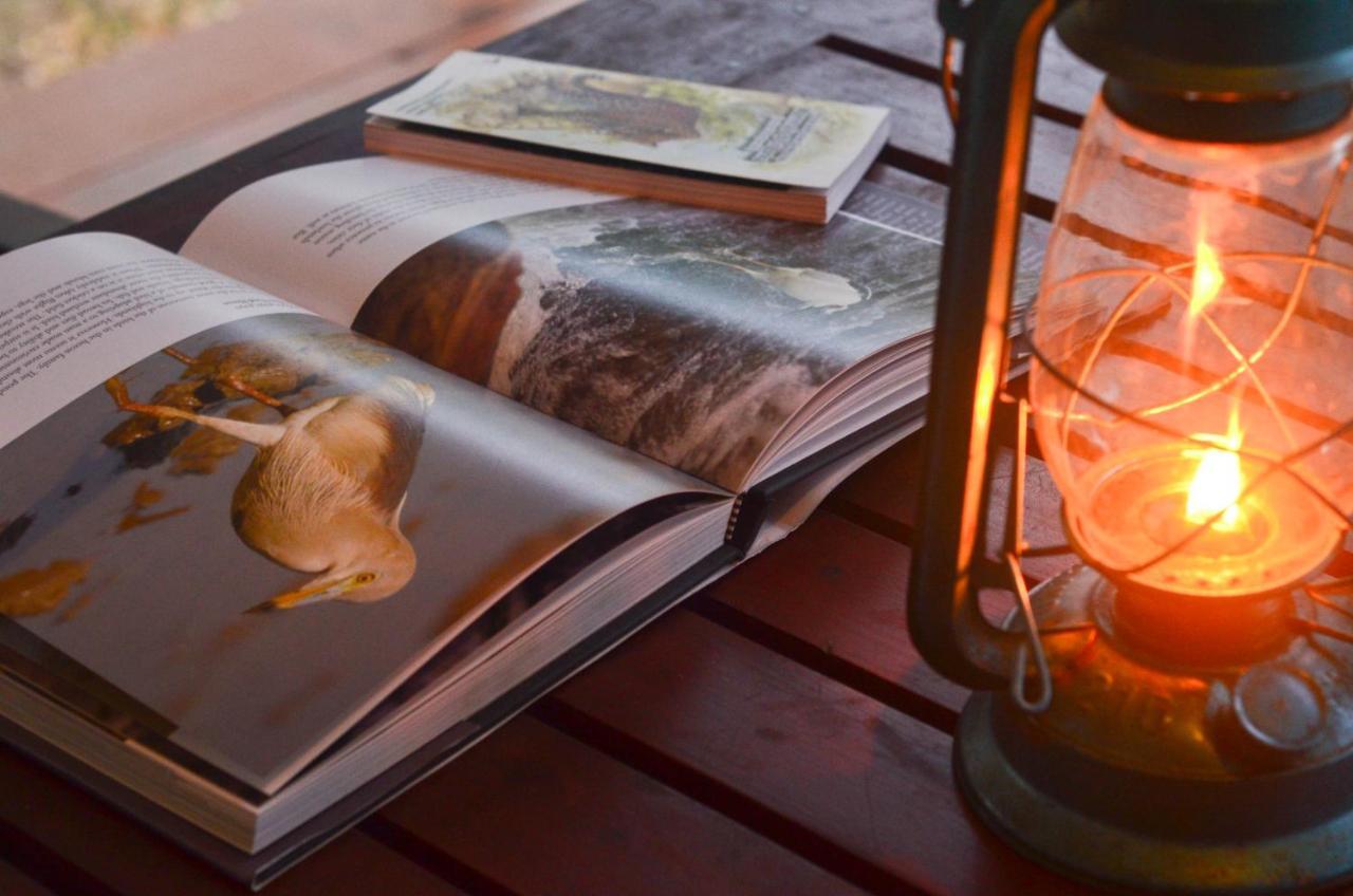 ホテル Camp Leopard - Yala Safari Glamping エクステリア 写真