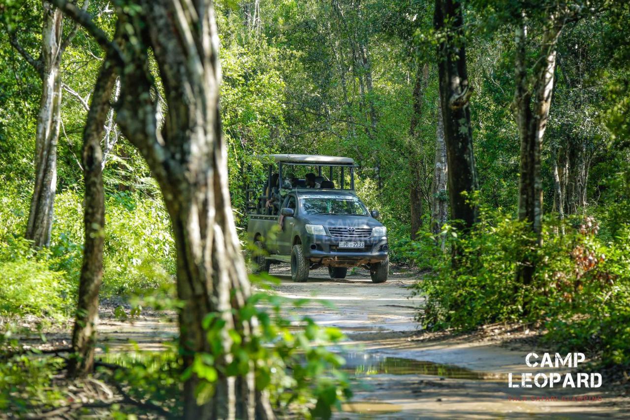 ホテル Camp Leopard - Yala Safari Glamping エクステリア 写真