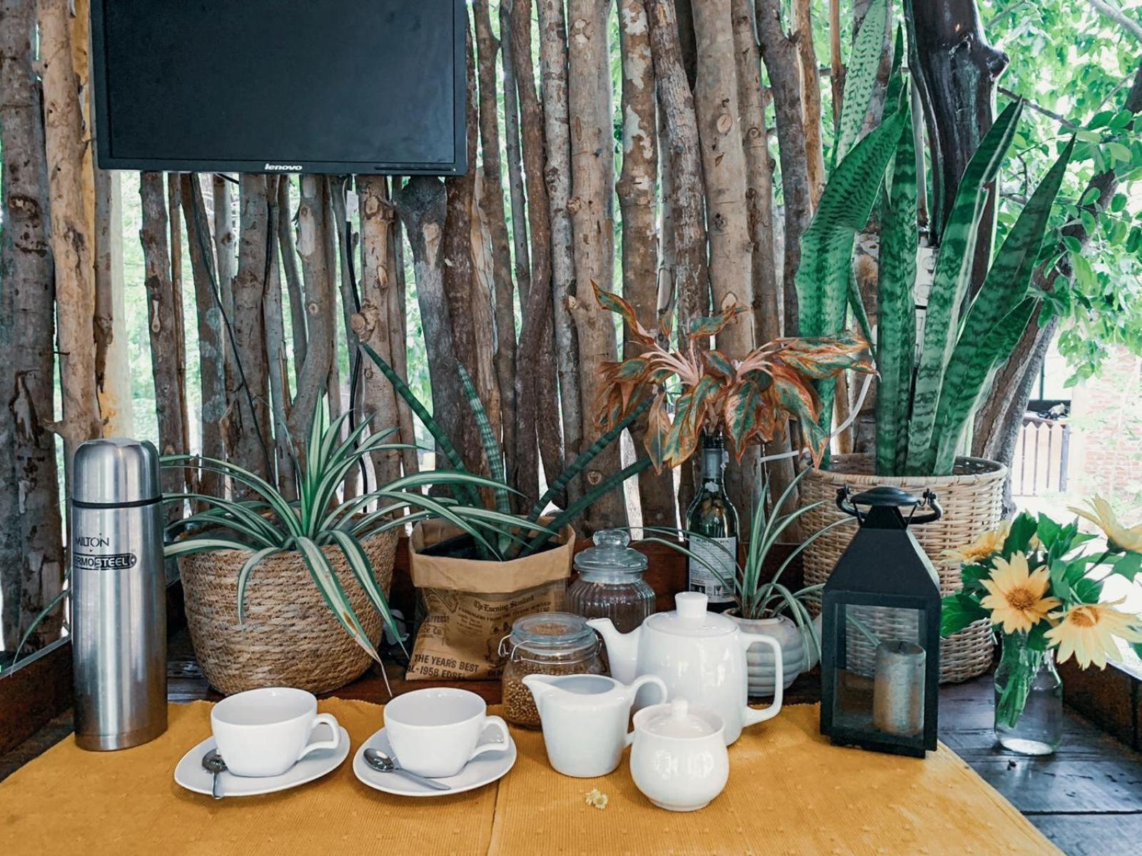 ホテル Camp Leopard - Yala Safari Glamping エクステリア 写真