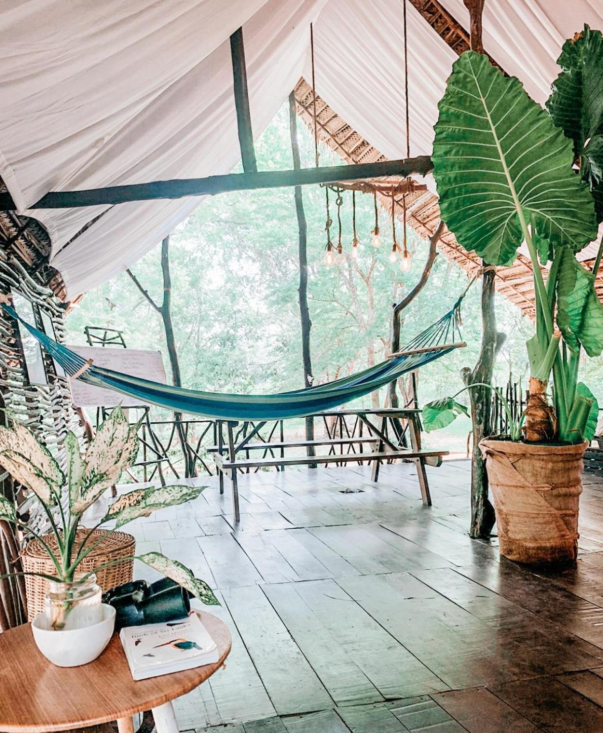 ホテル Camp Leopard - Yala Safari Glamping エクステリア 写真