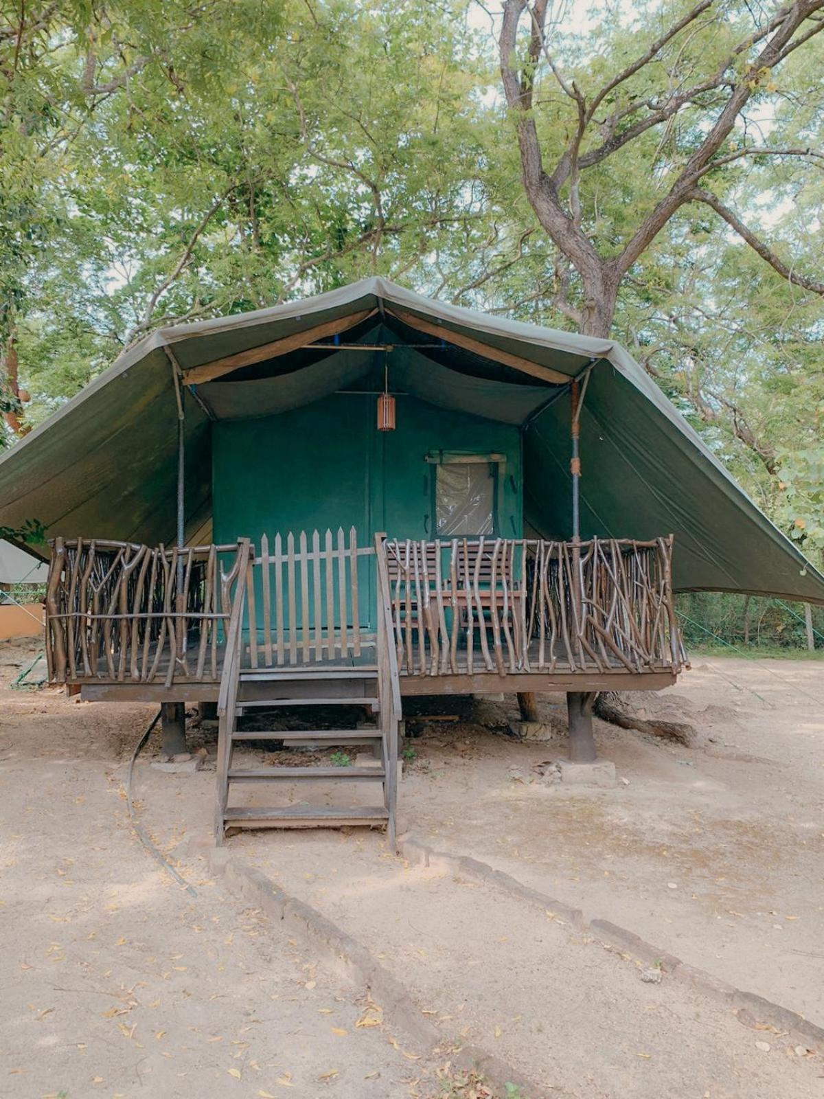 ホテル Camp Leopard - Yala Safari Glamping エクステリア 写真