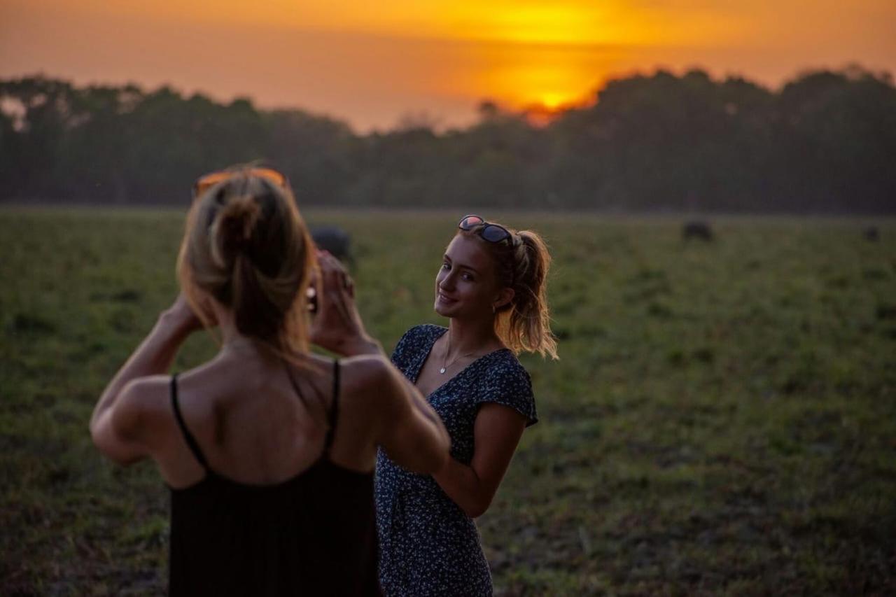 ホテル Camp Leopard - Yala Safari Glamping エクステリア 写真