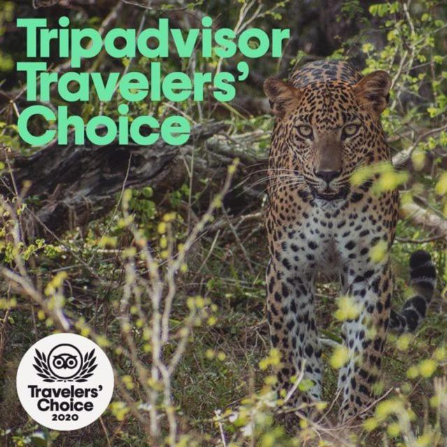 ホテル Camp Leopard - Yala Safari Glamping エクステリア 写真