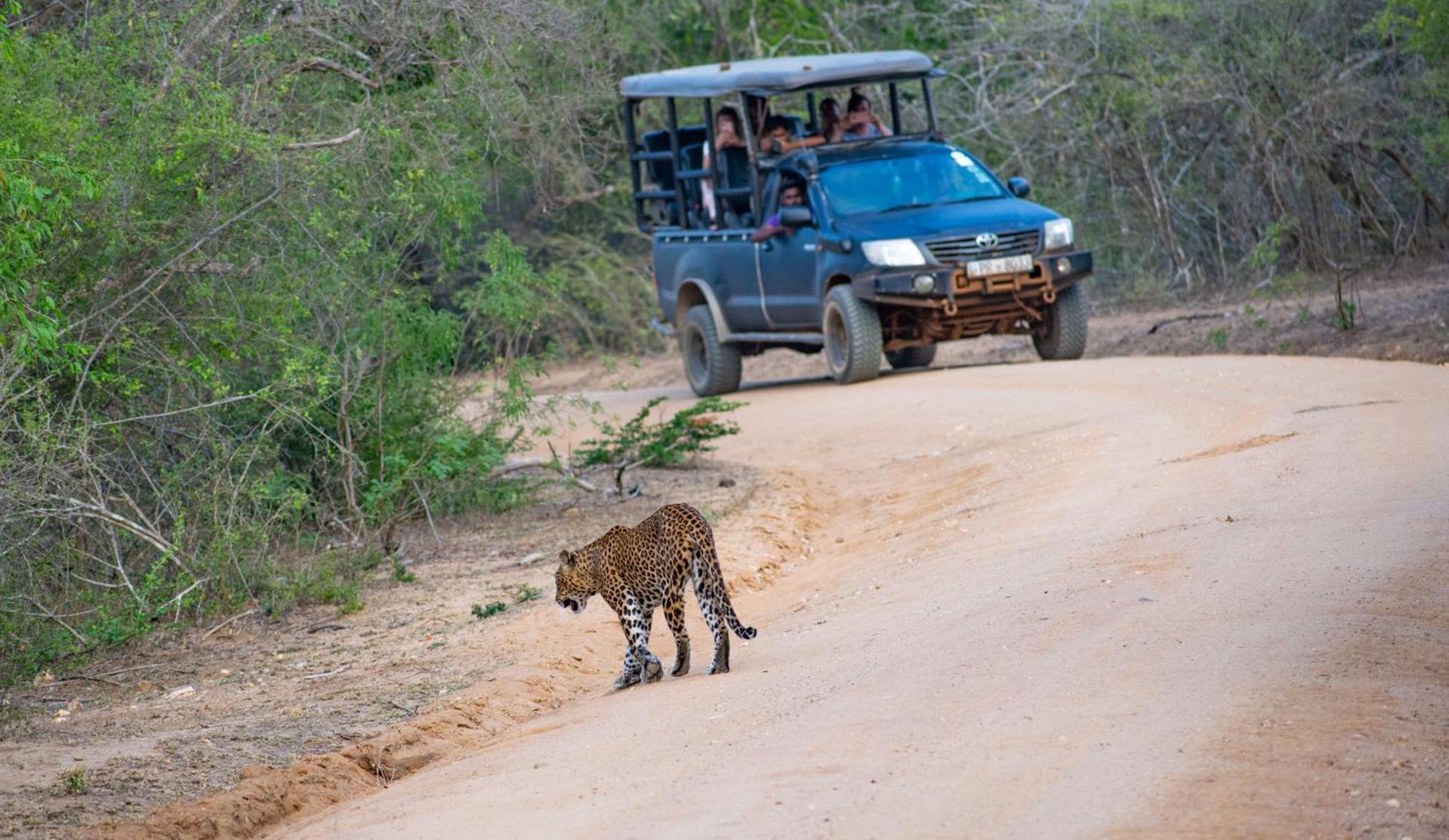 ホテル Camp Leopard - Yala Safari Glamping エクステリア 写真