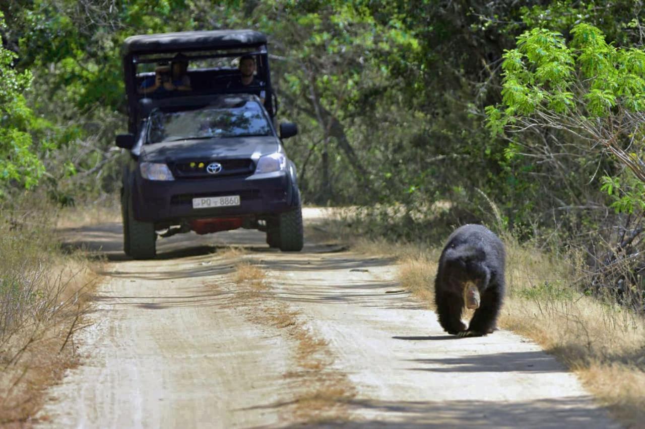 ホテル Camp Leopard - Yala Safari Glamping エクステリア 写真