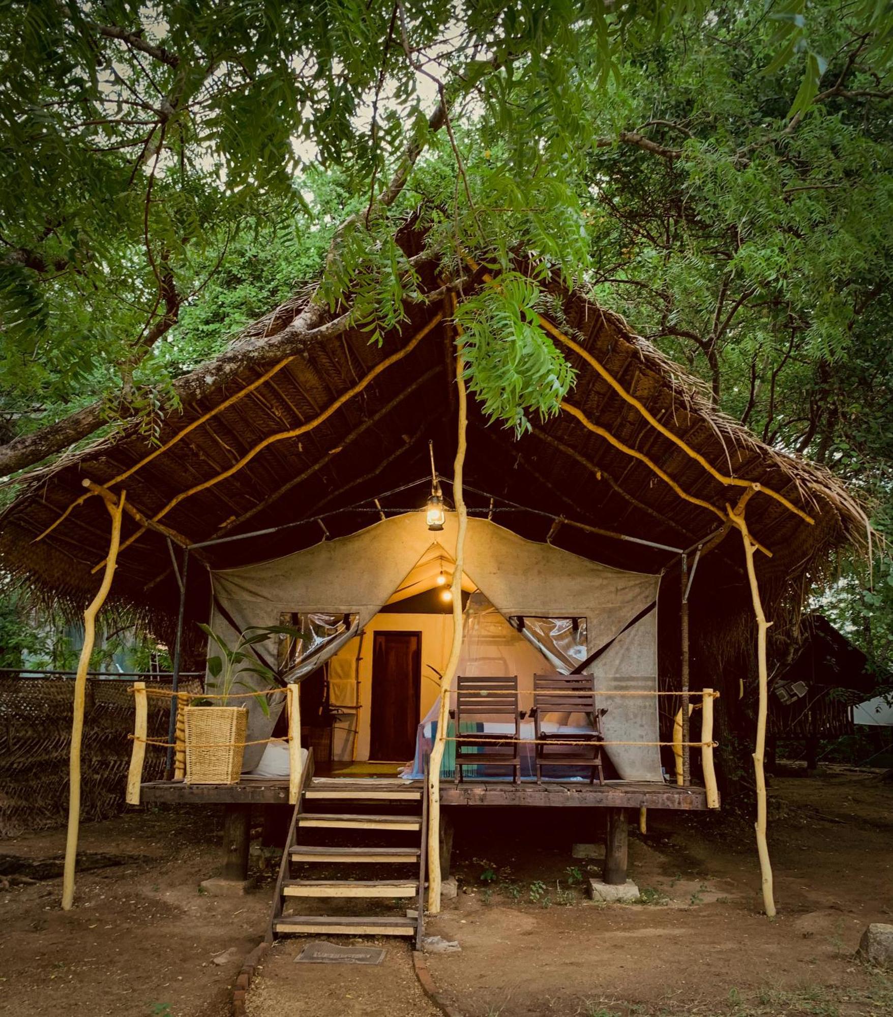 ホテル Camp Leopard - Yala Safari Glamping エクステリア 写真