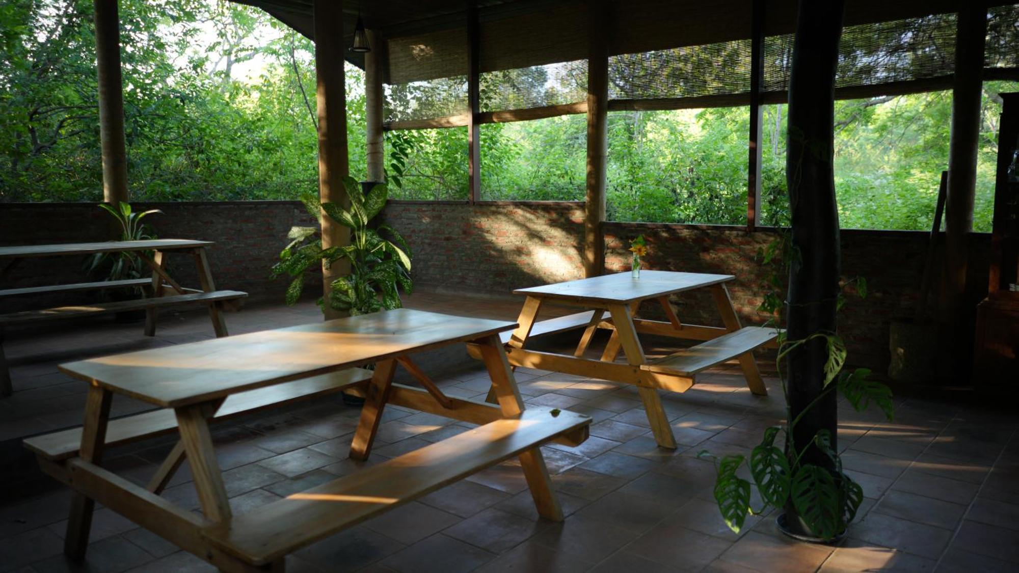 ホテル Camp Leopard - Yala Safari Glamping エクステリア 写真